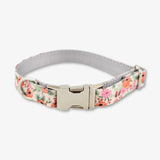 Rosa Dog Collar